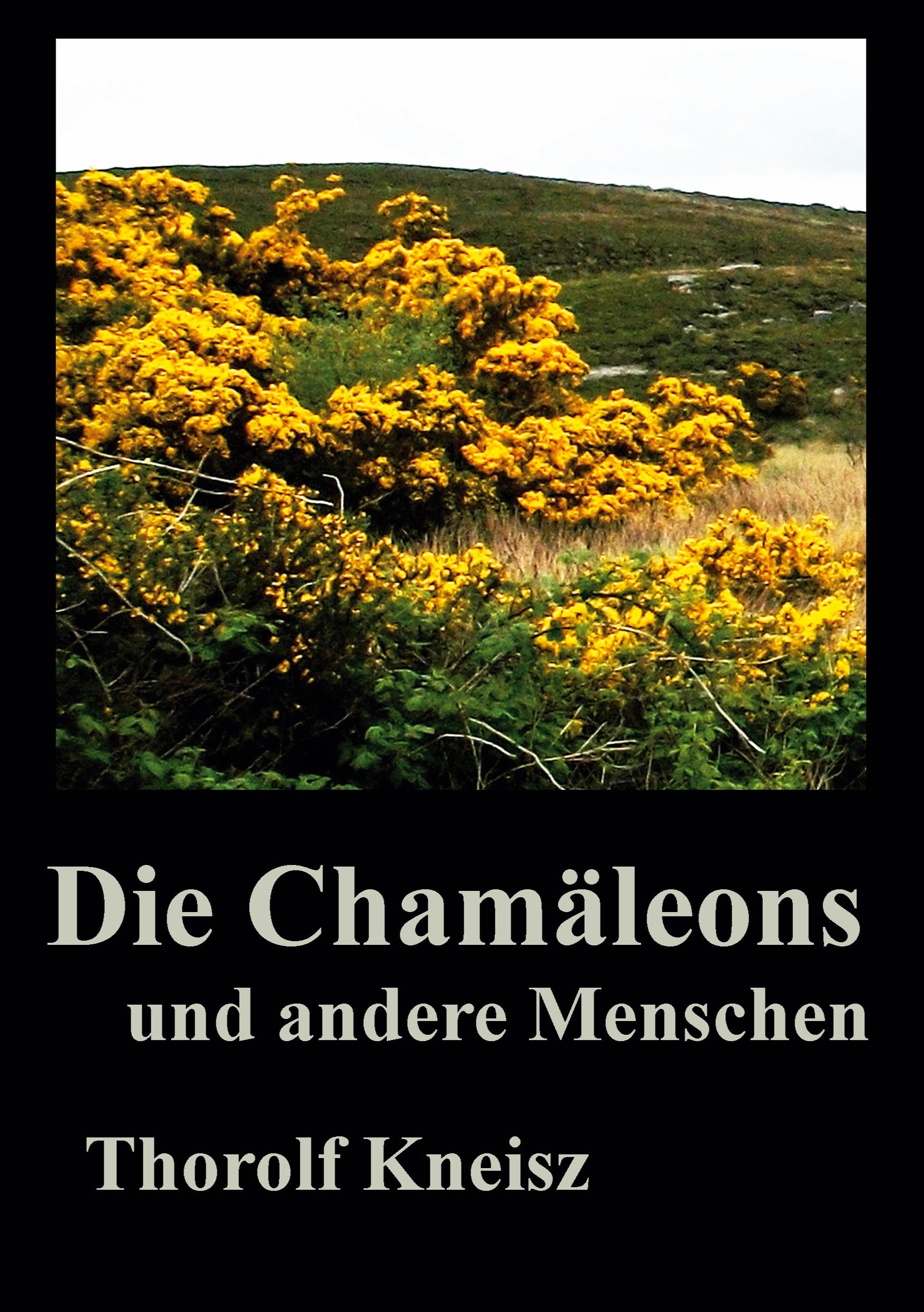 Die Chamäleons und andere Menschen