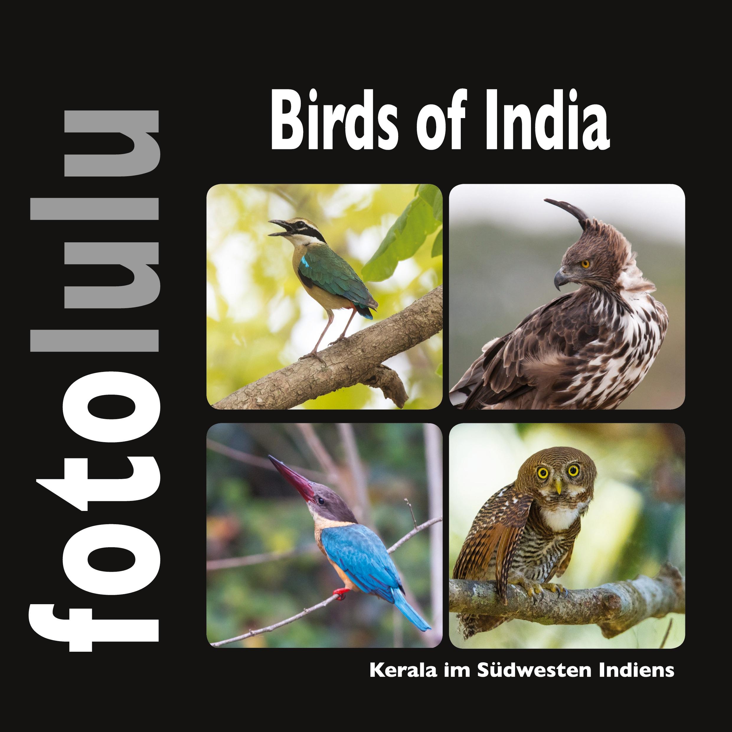 Birds of India