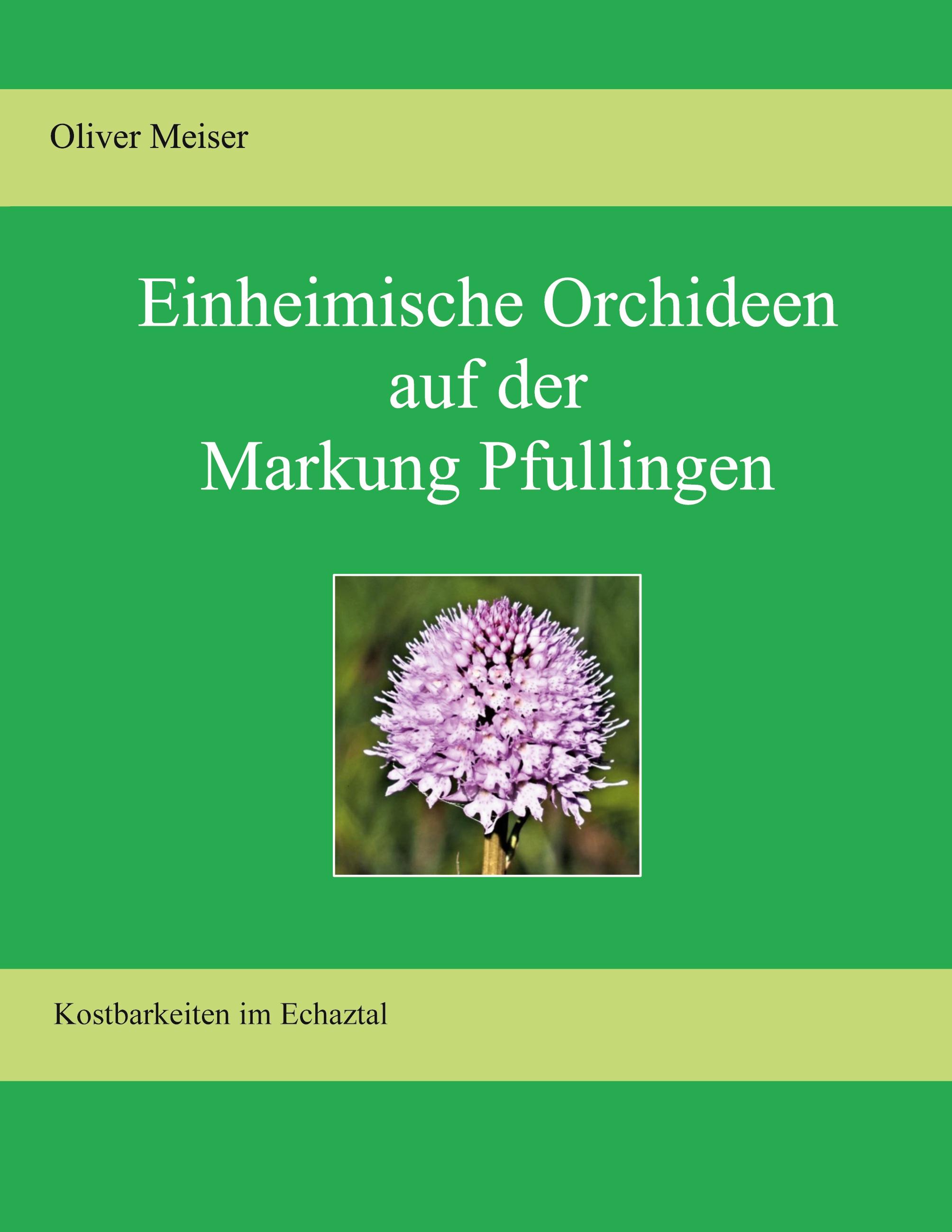 Heimische Orchideen auf der Markung Pfullingen