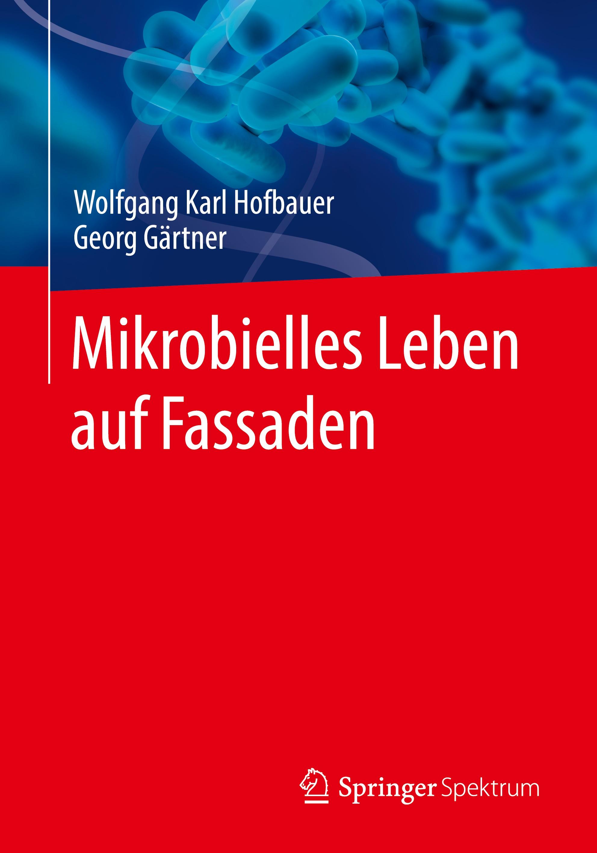 Mikrobielles Leben auf Fassaden