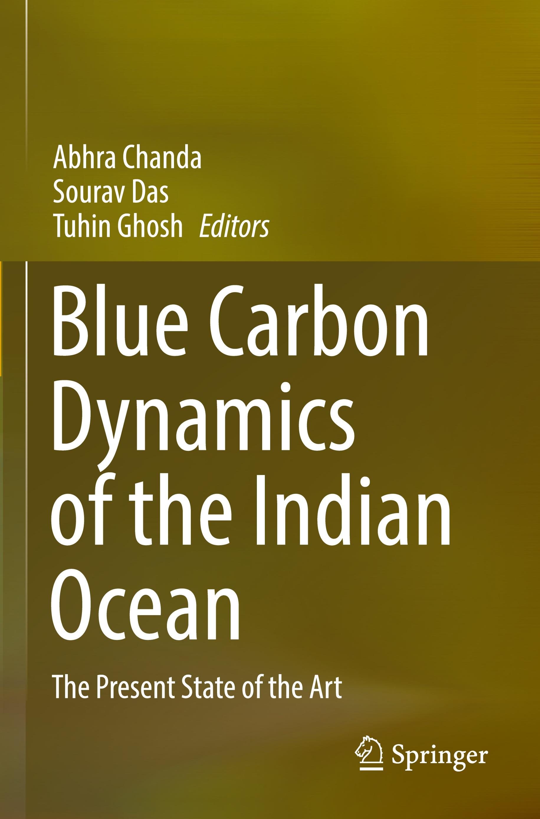 Blue Carbon Dynamics of the Indian Ocean