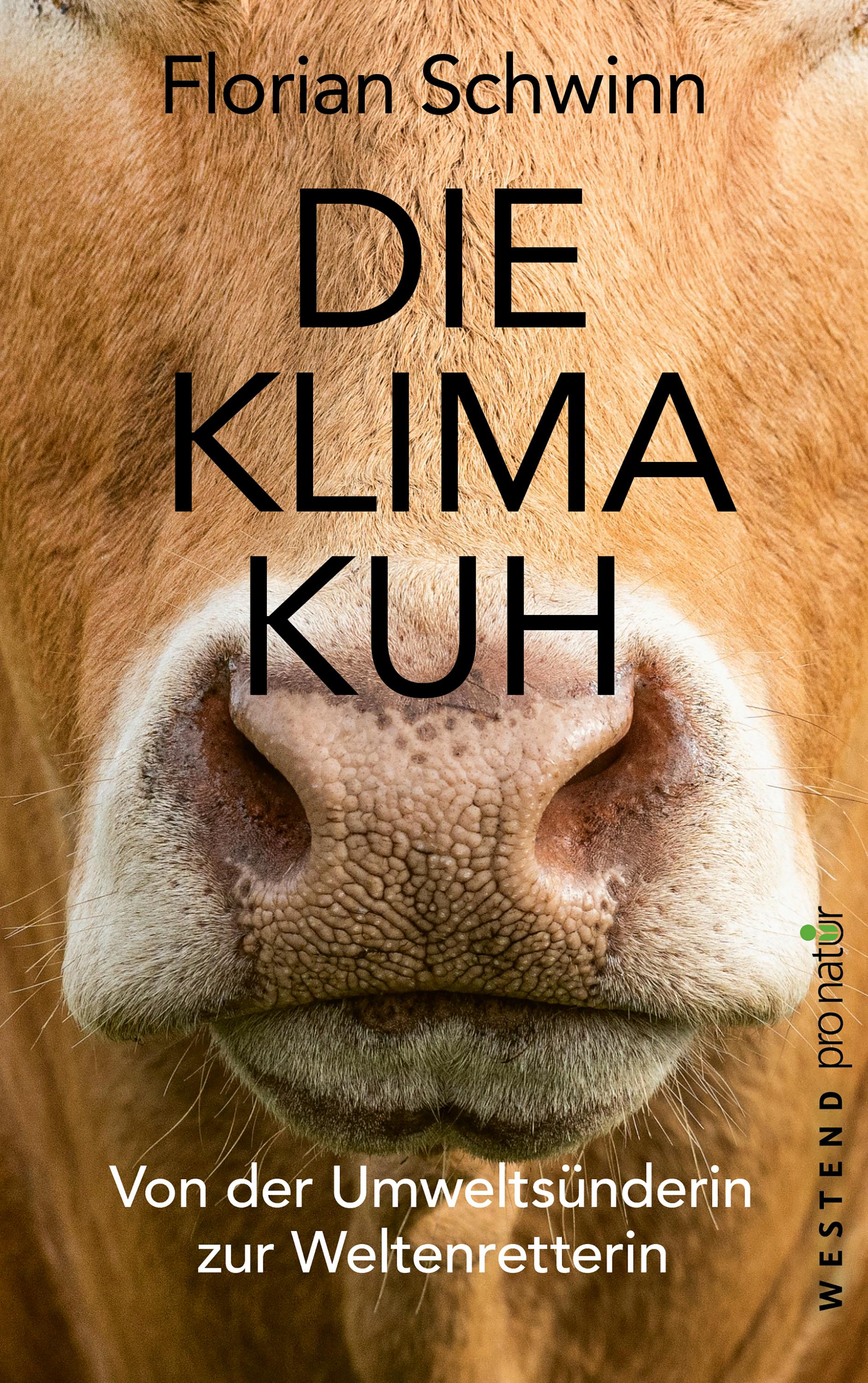 Die Klima-Kuh