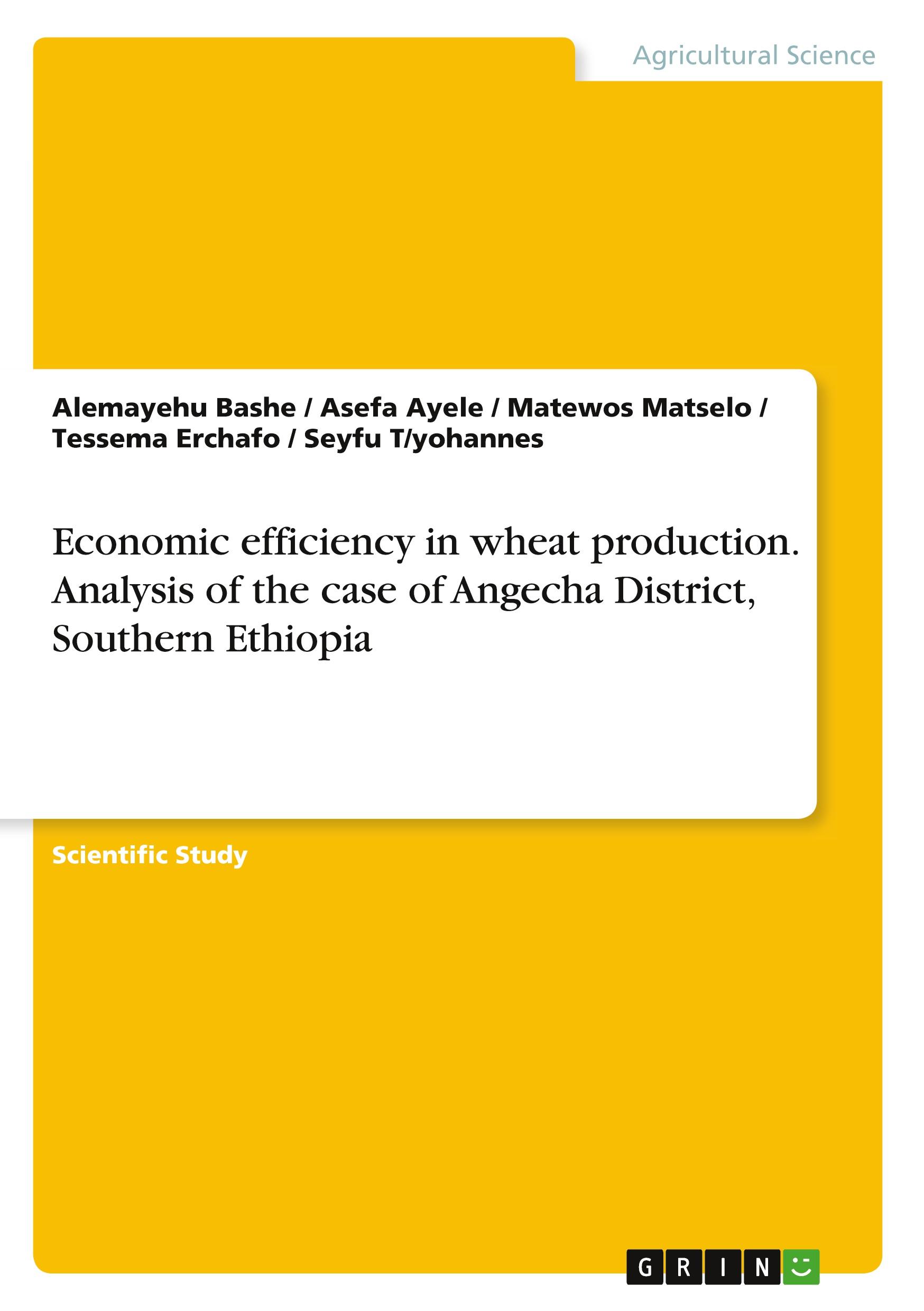 Economic efficiency in wheat production. Analysis of the case of Angecha District, Southern Ethiopia