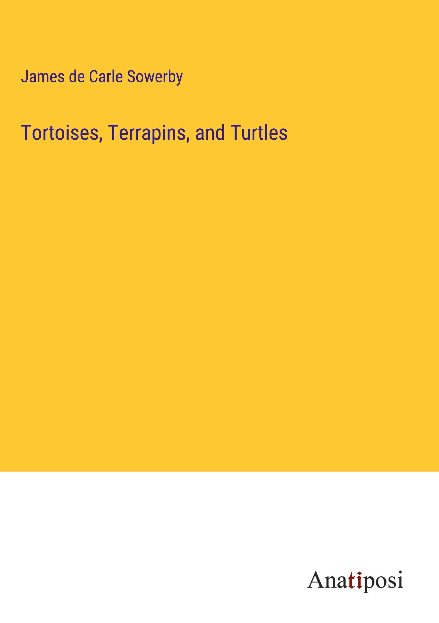 Tortoises, Terrapins, and Turtles