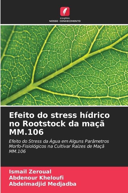 Efeito do stress hídrico no Rootstock da maçã MM.106