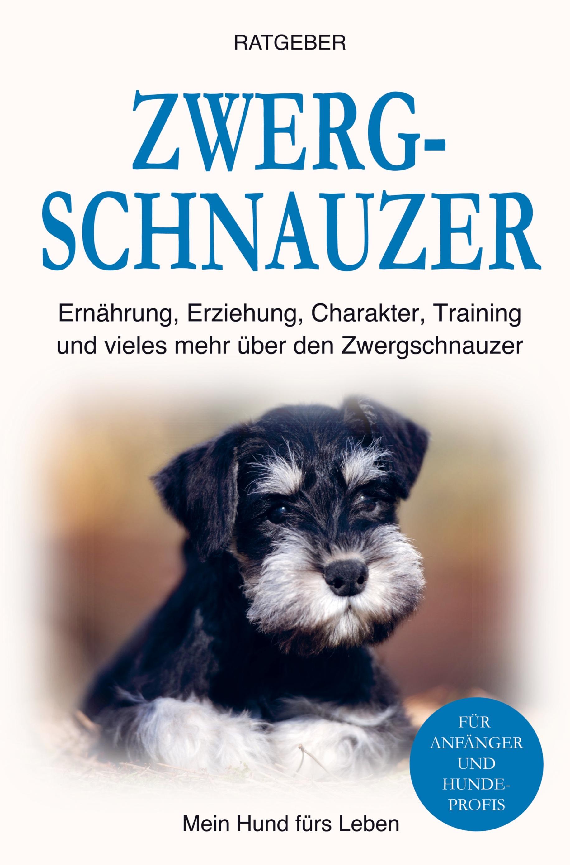 Zwergschnauzer