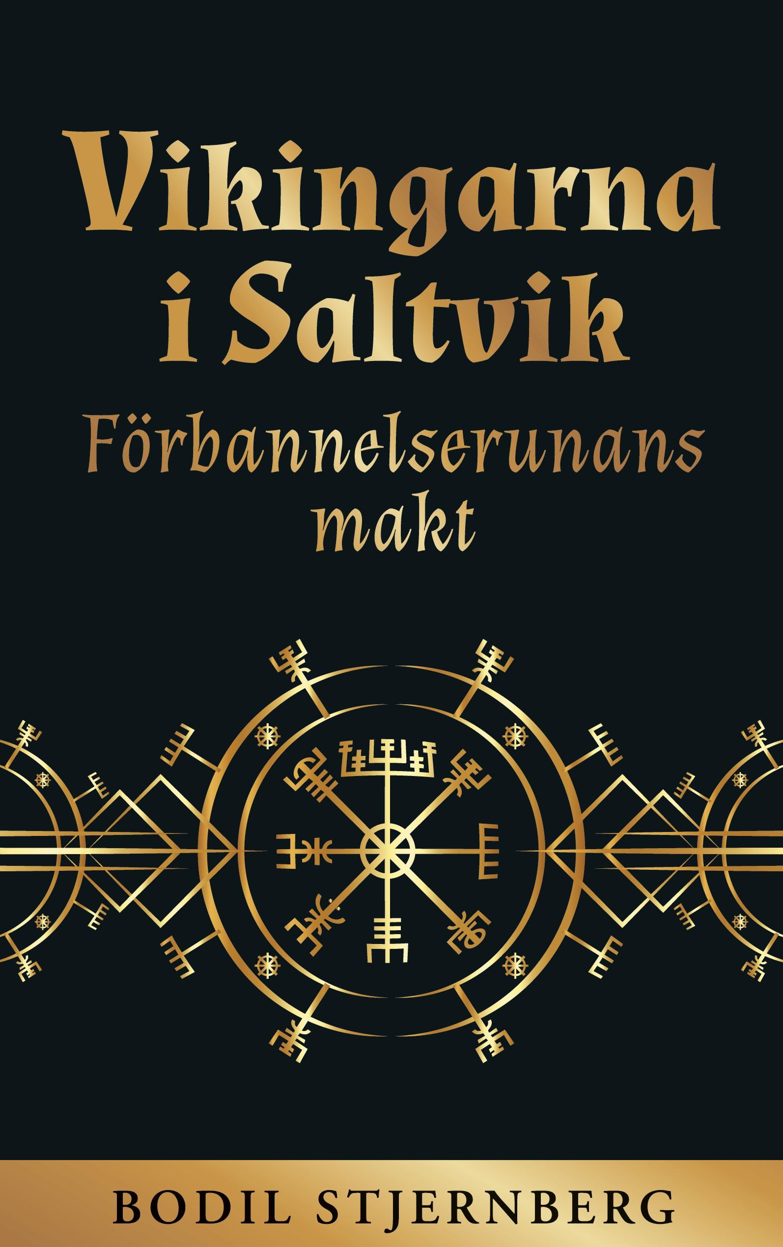 Vikingarna i Saltvik