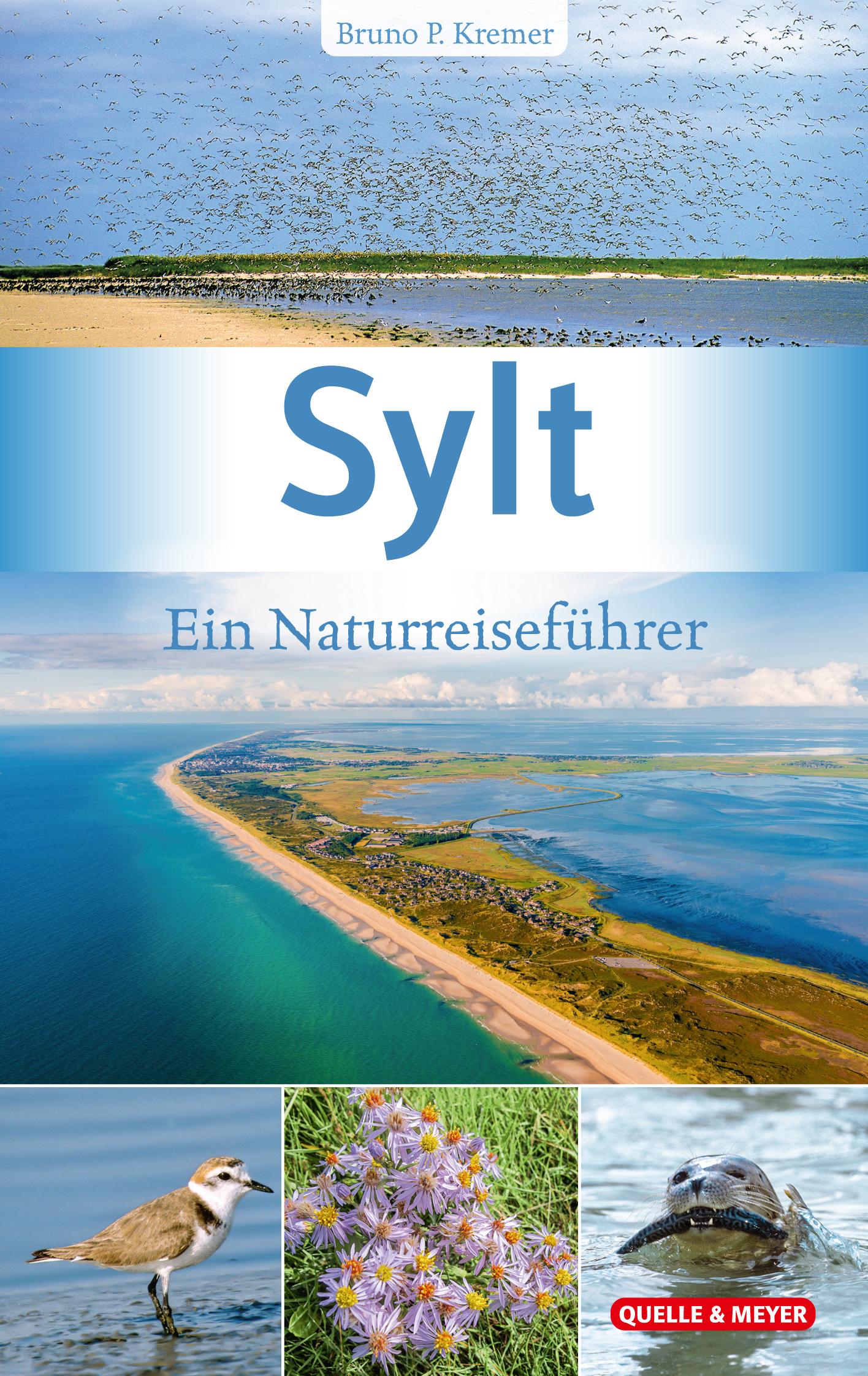 Sylt