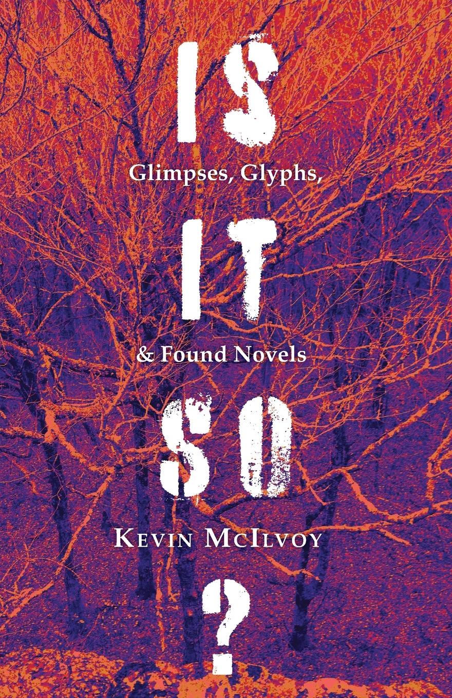 Is It So? Glimpses, Glyphs, & Found Novels