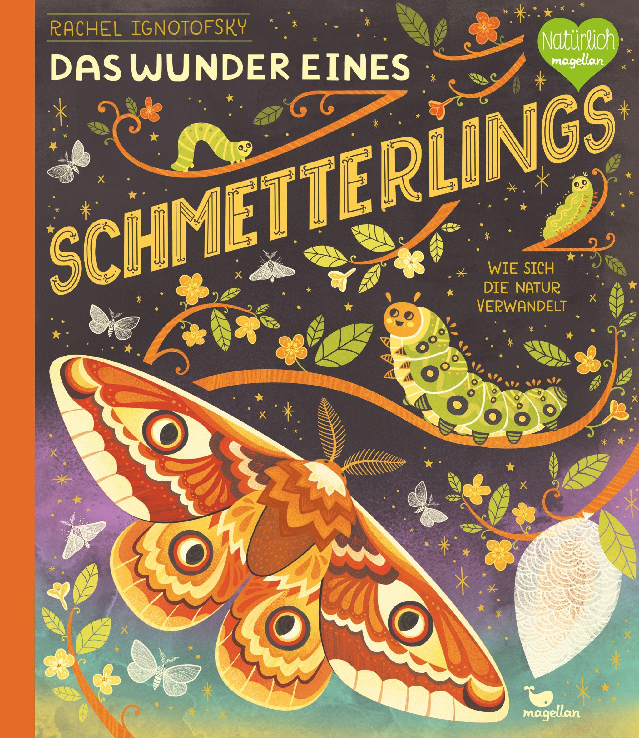 Das Wunder eines Schmetterlings - Wie sich die Natur verwandelt