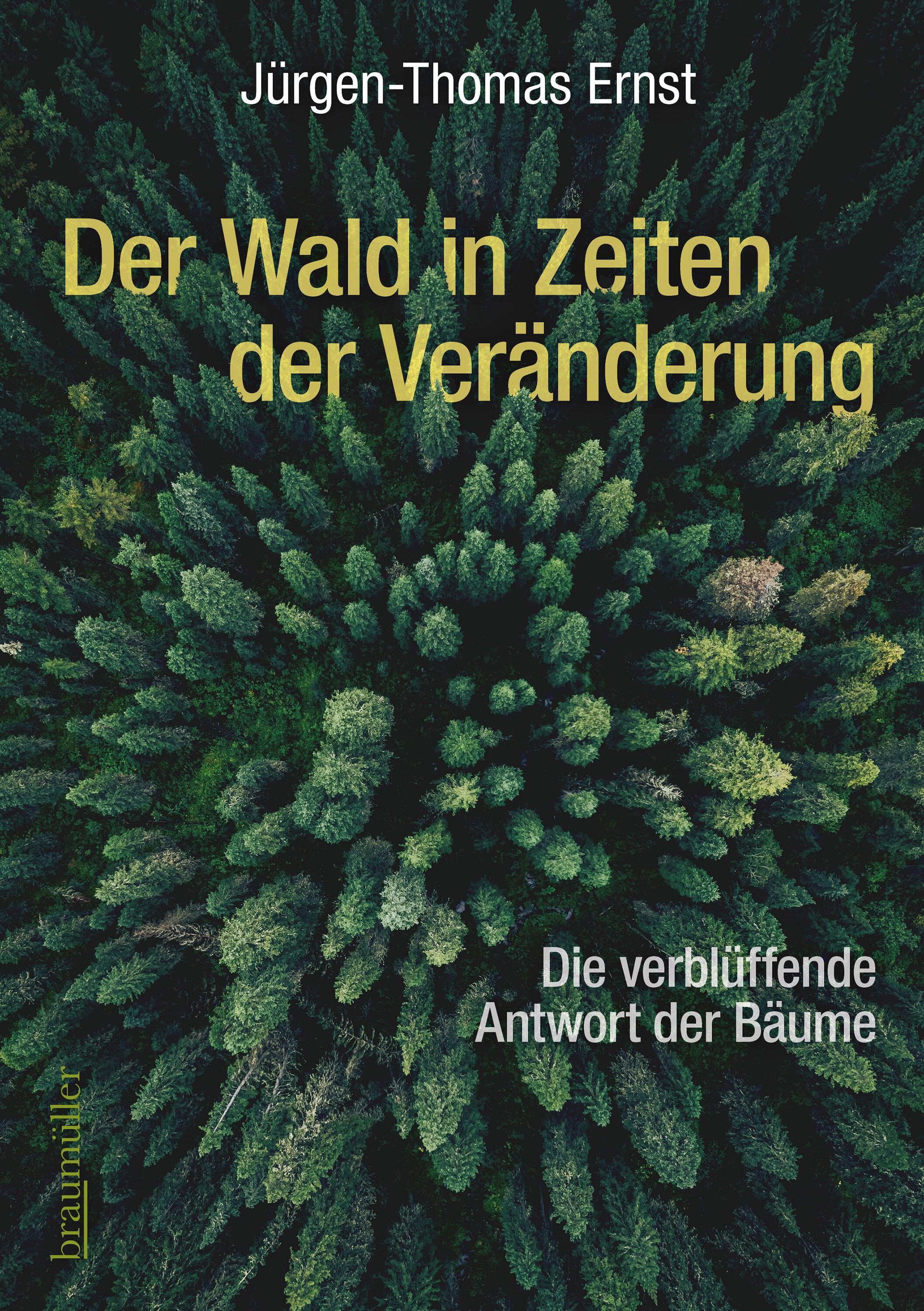 Der Wald in Zeiten der Veränderung