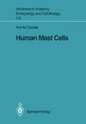 Human Mast Cells