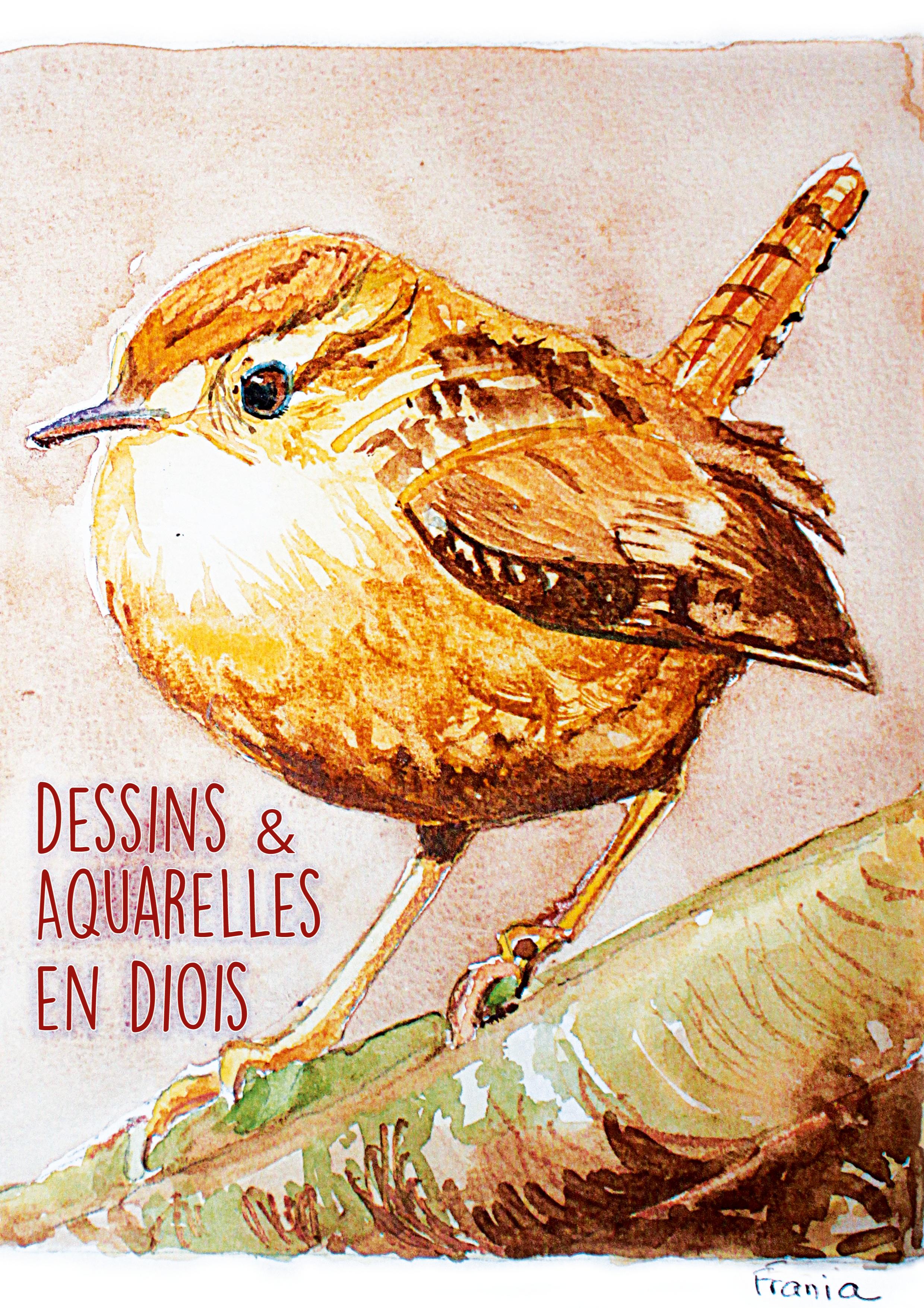 Dessins & Aquarelles en Diois