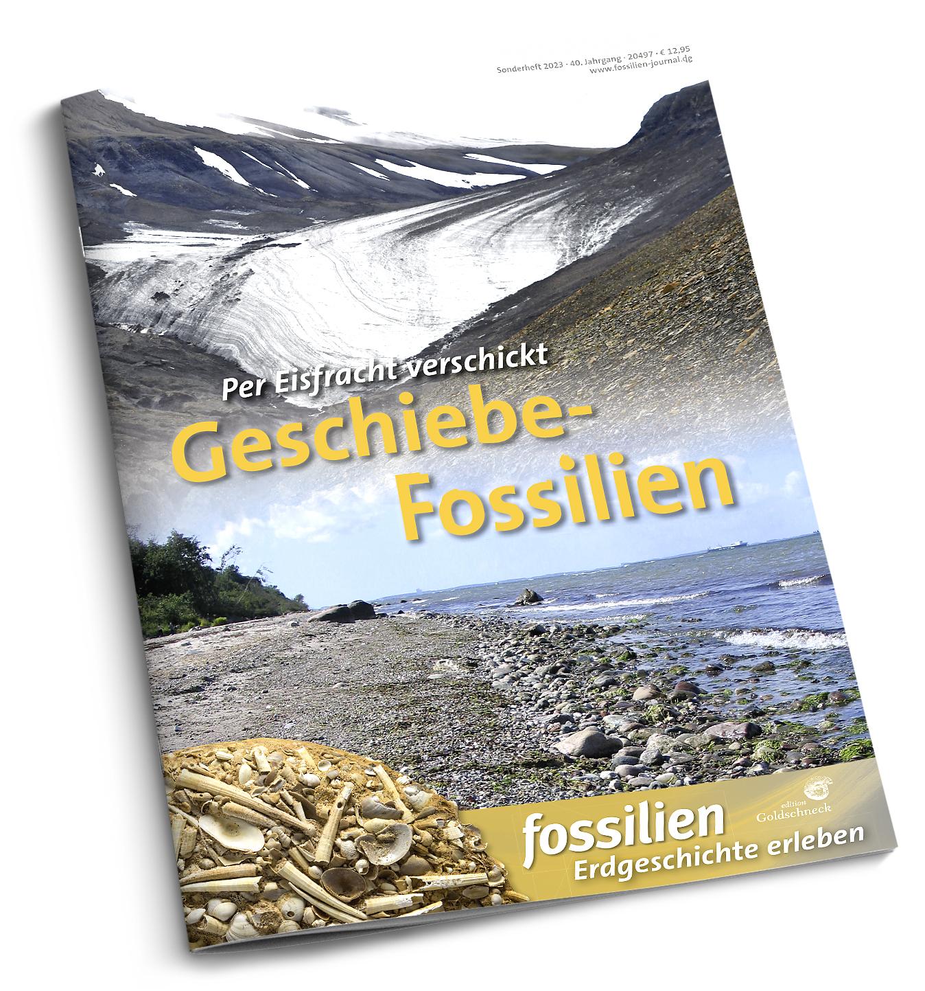 Geschiebe-Fossilien