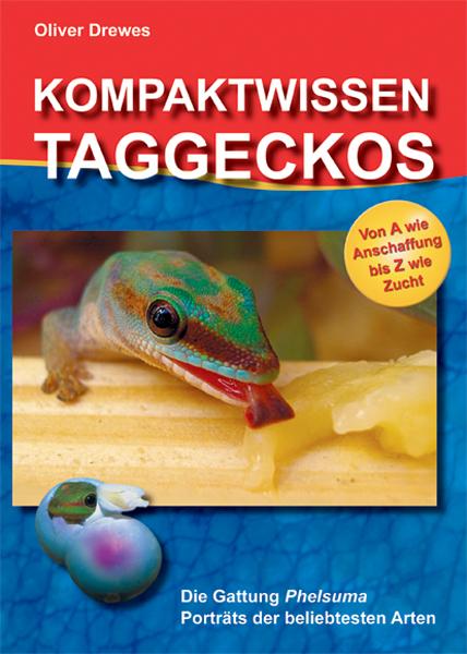 Kompaktwissen Taggeckos