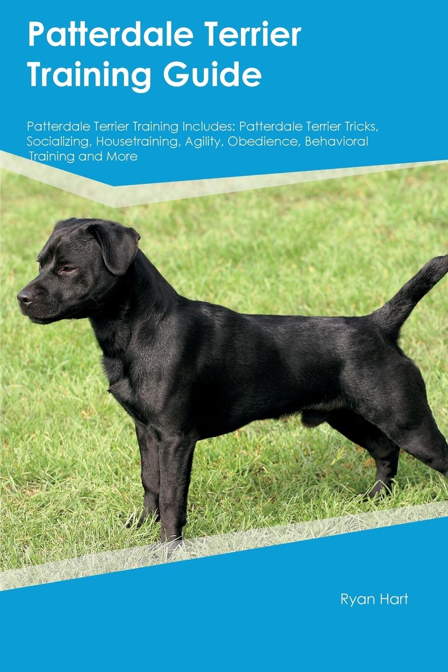 Patterdale Terrier Training Guide Patterdale Terrier Training Includes