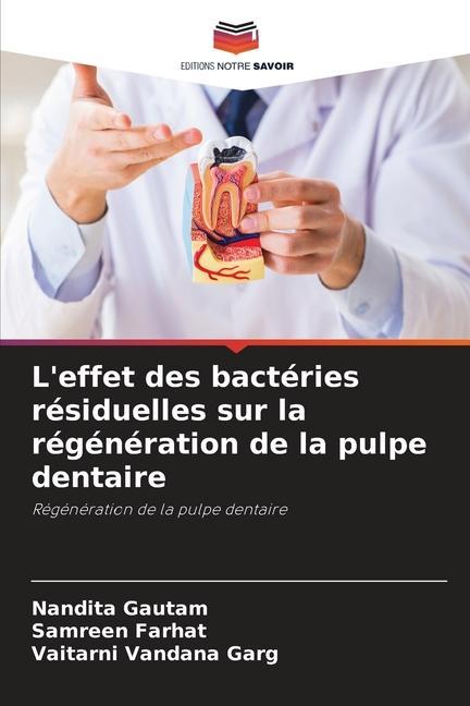 L'effet des bactéries résiduelles sur la régénération de la pulpe dentaire