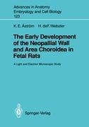 The Early Development of the Neopallial Wall and Area Choroidea in Fetal Rats