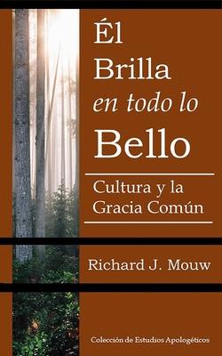 El Brilla en todo lo Bello: La cultura y la gracia común