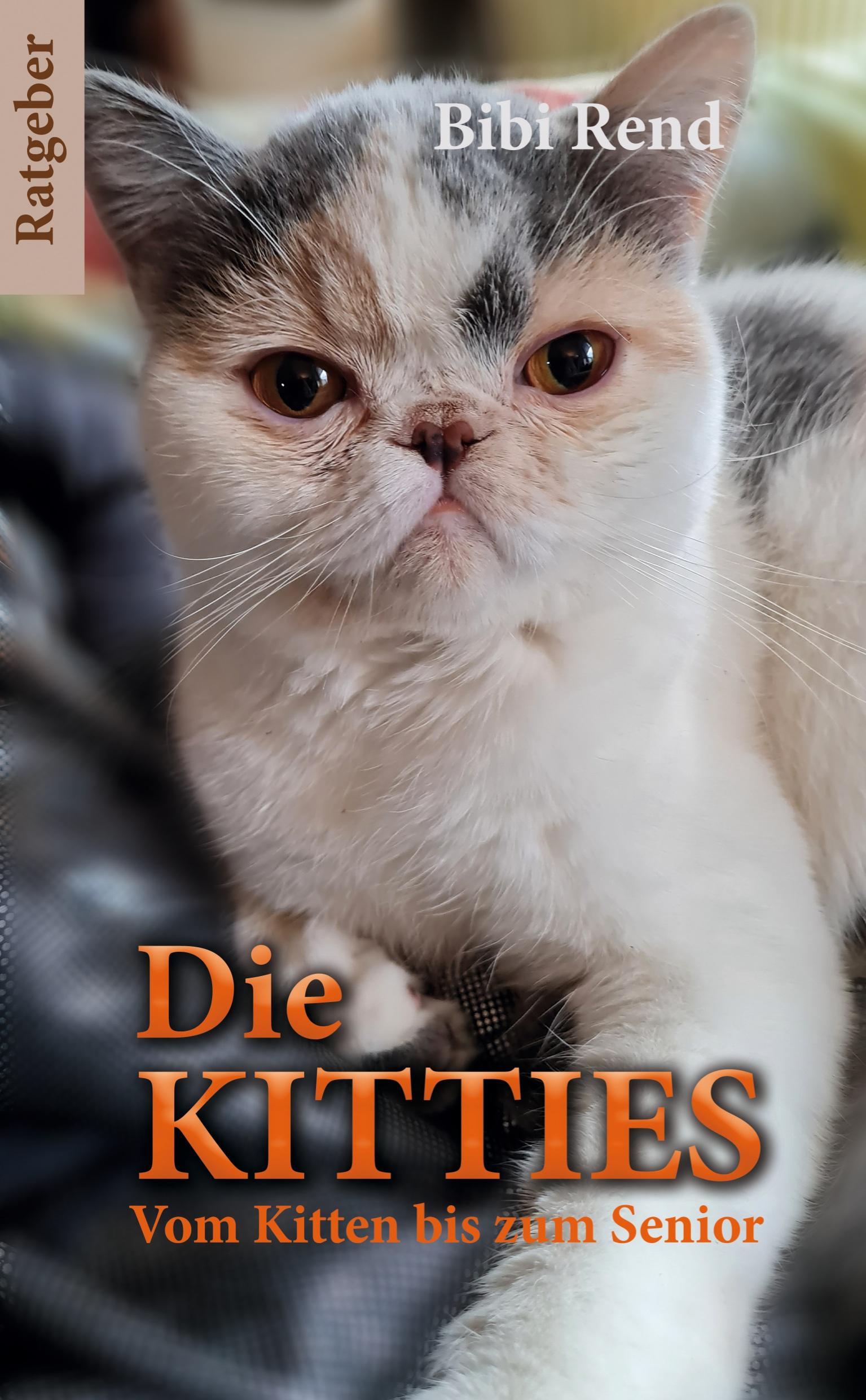 Die Kitties