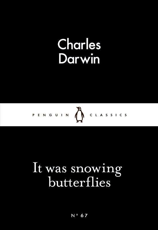 It Was Snowing Butterflies