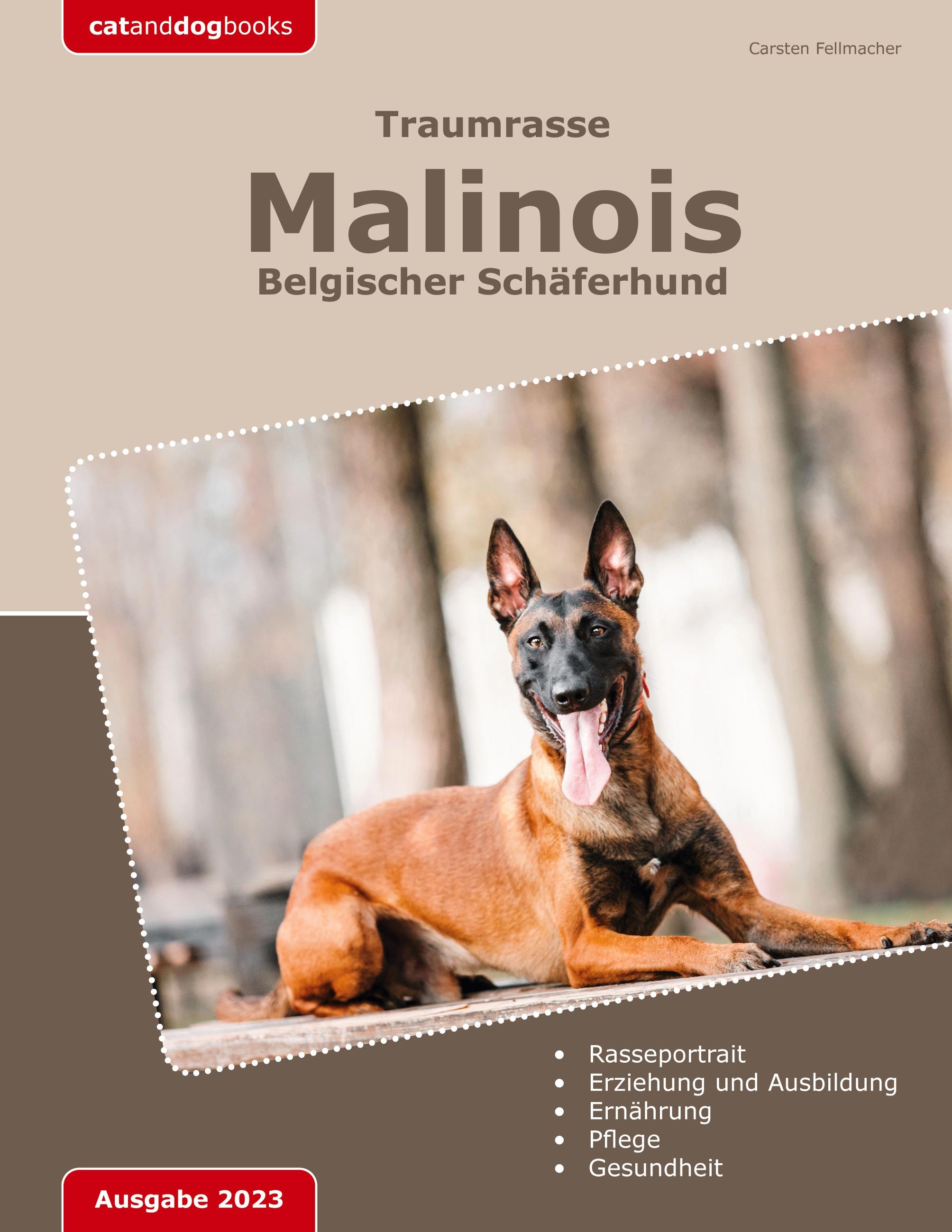 Traumrasse: Malinois