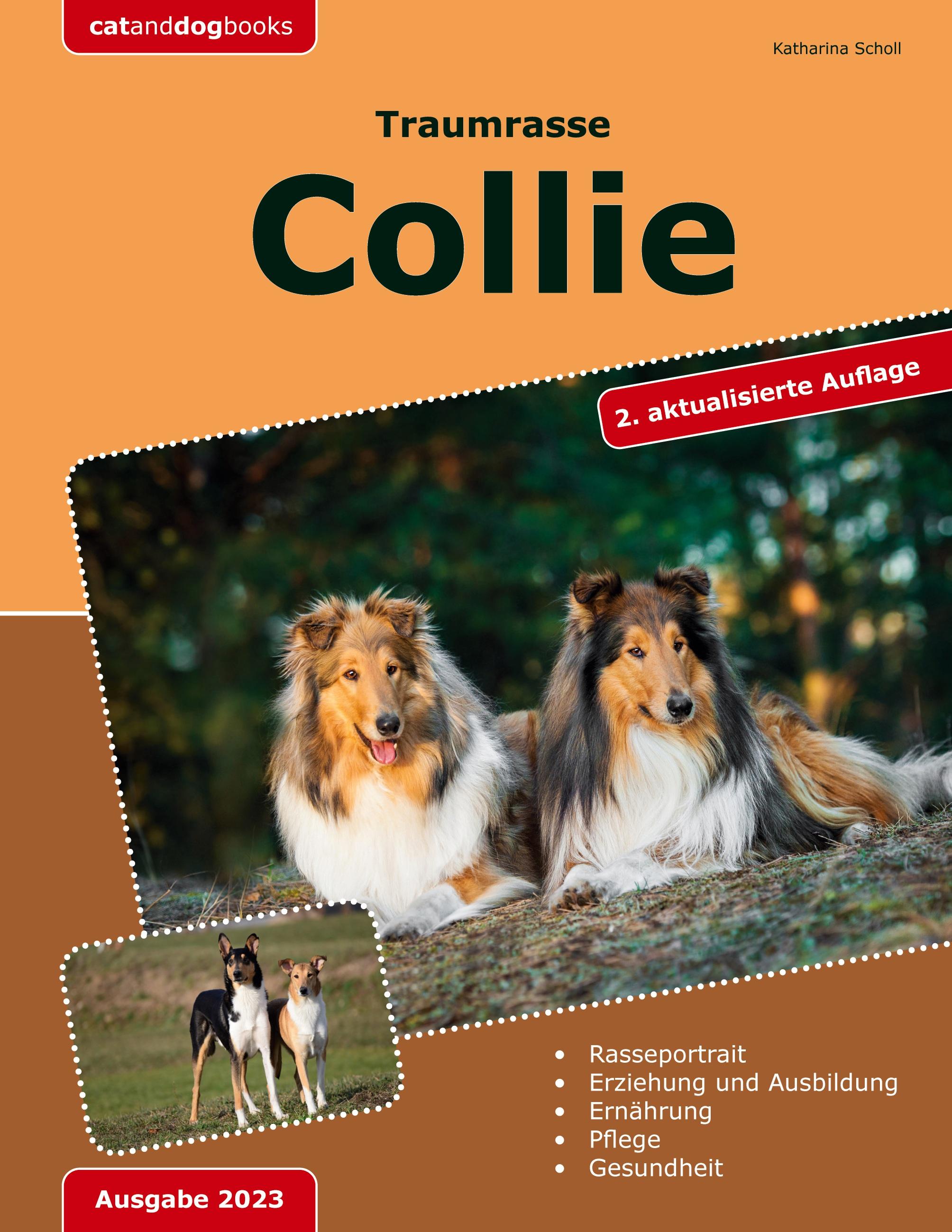 Traumrasse: Collie