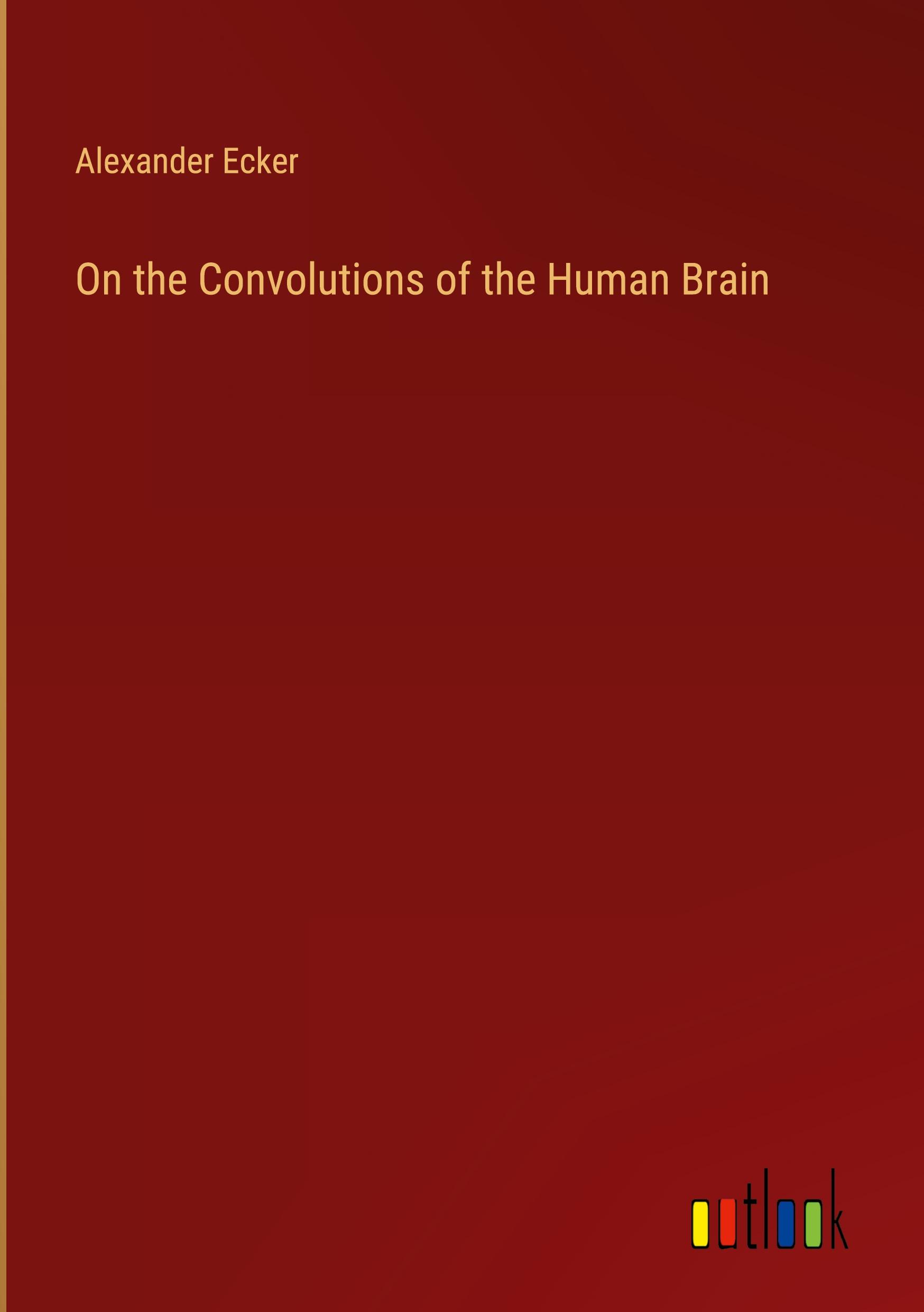 On the Convolutions of the Human Brain