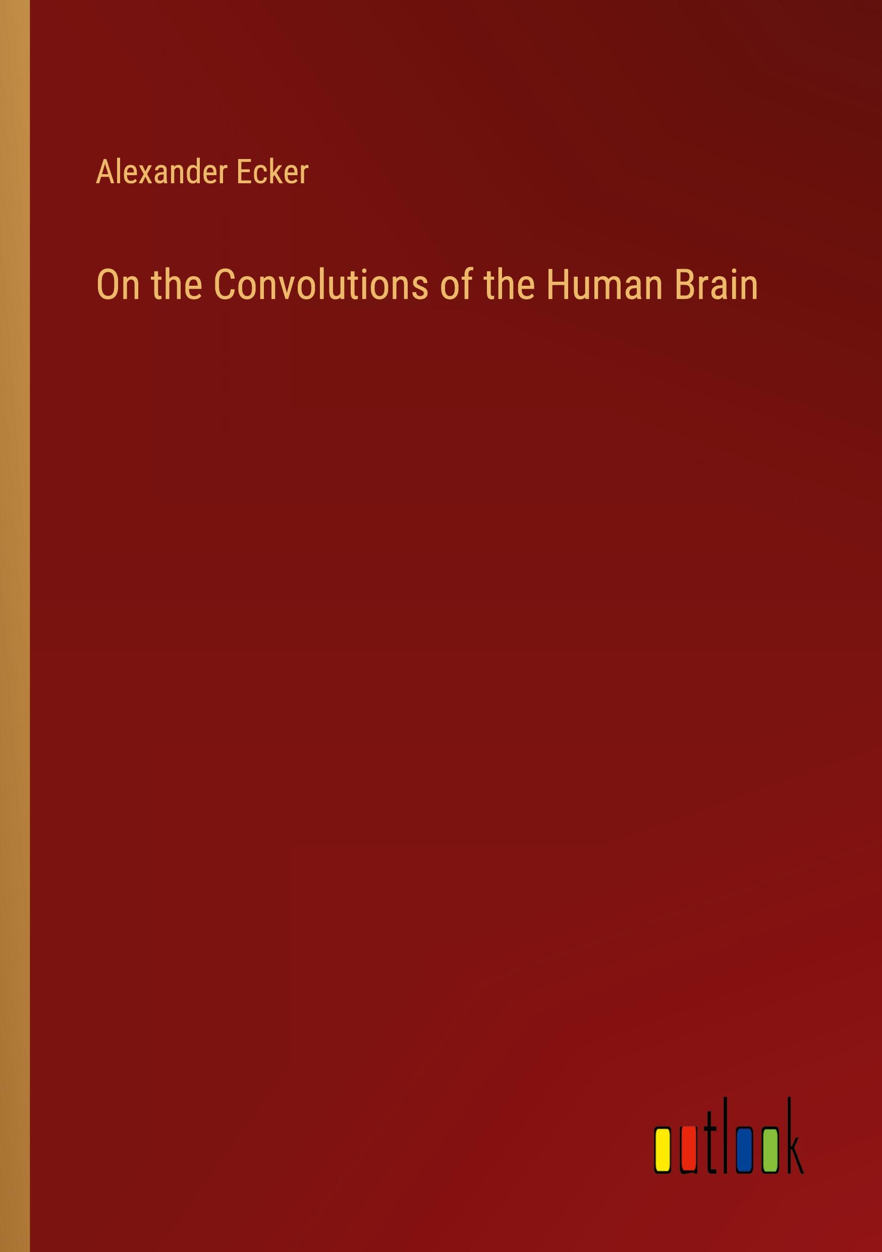 On the Convolutions of the Human Brain