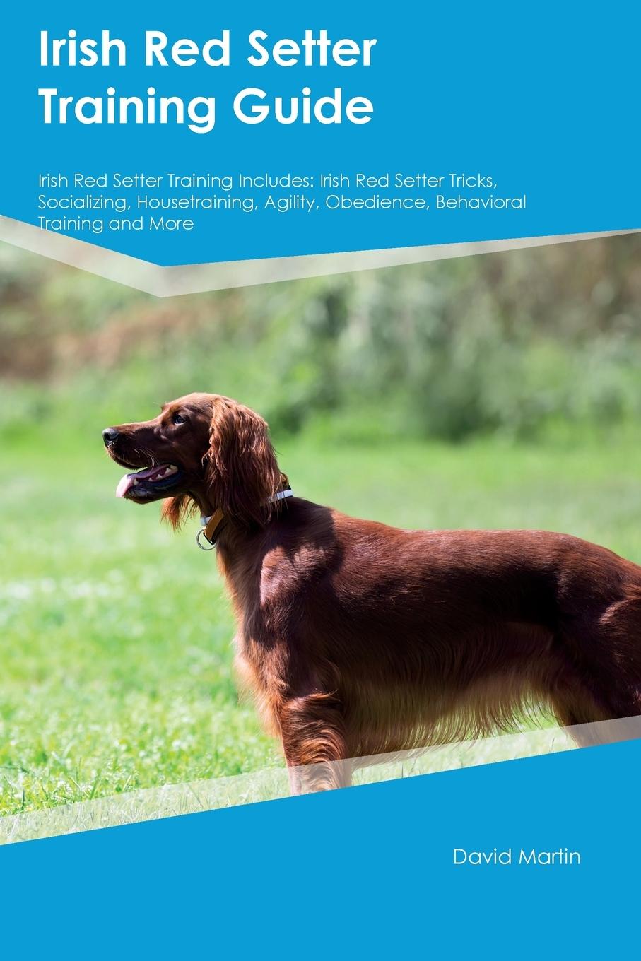 Irish Red Setter Training Guide Irish Red Setter Training Includes