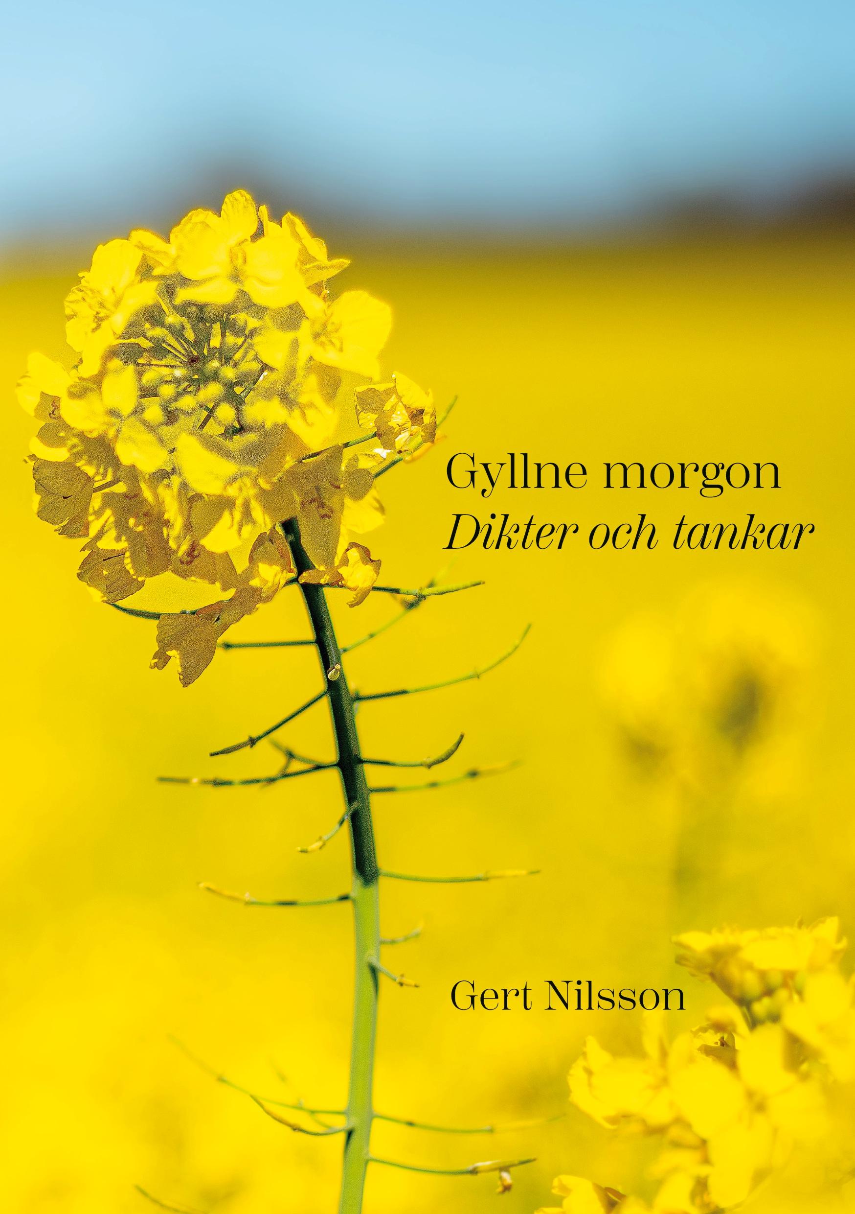 Gyllne morgon