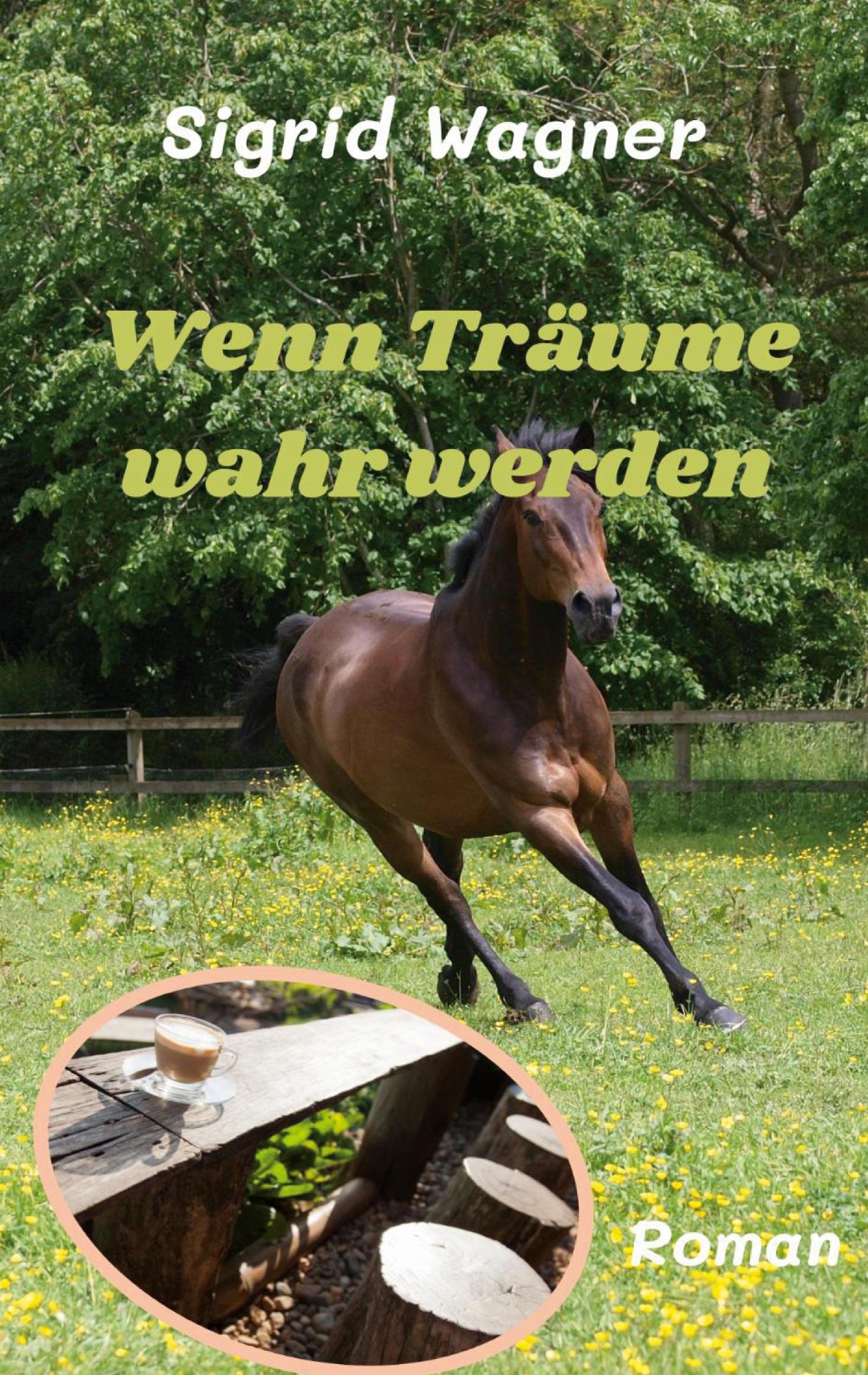 Wenn Träume wahr werden