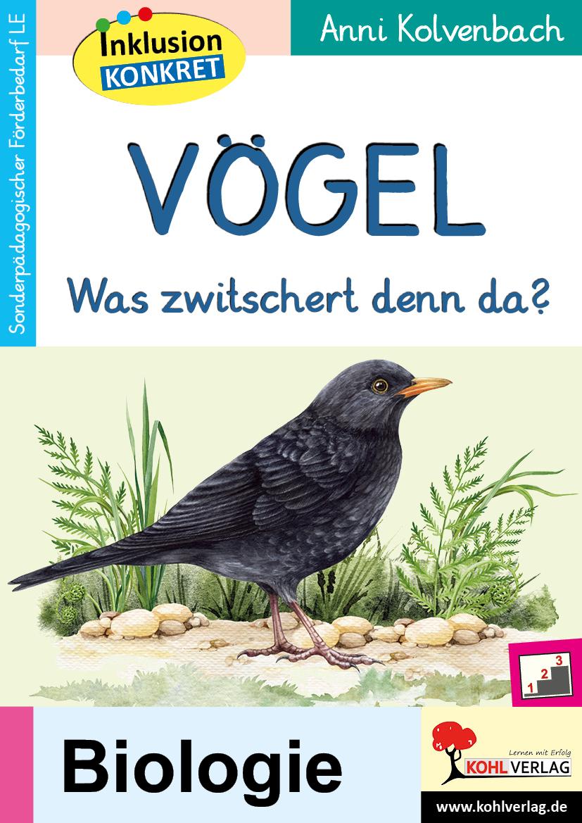 Vögel