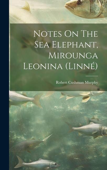 Notes On The Sea Elephant, Mirounga Leonina (linné)