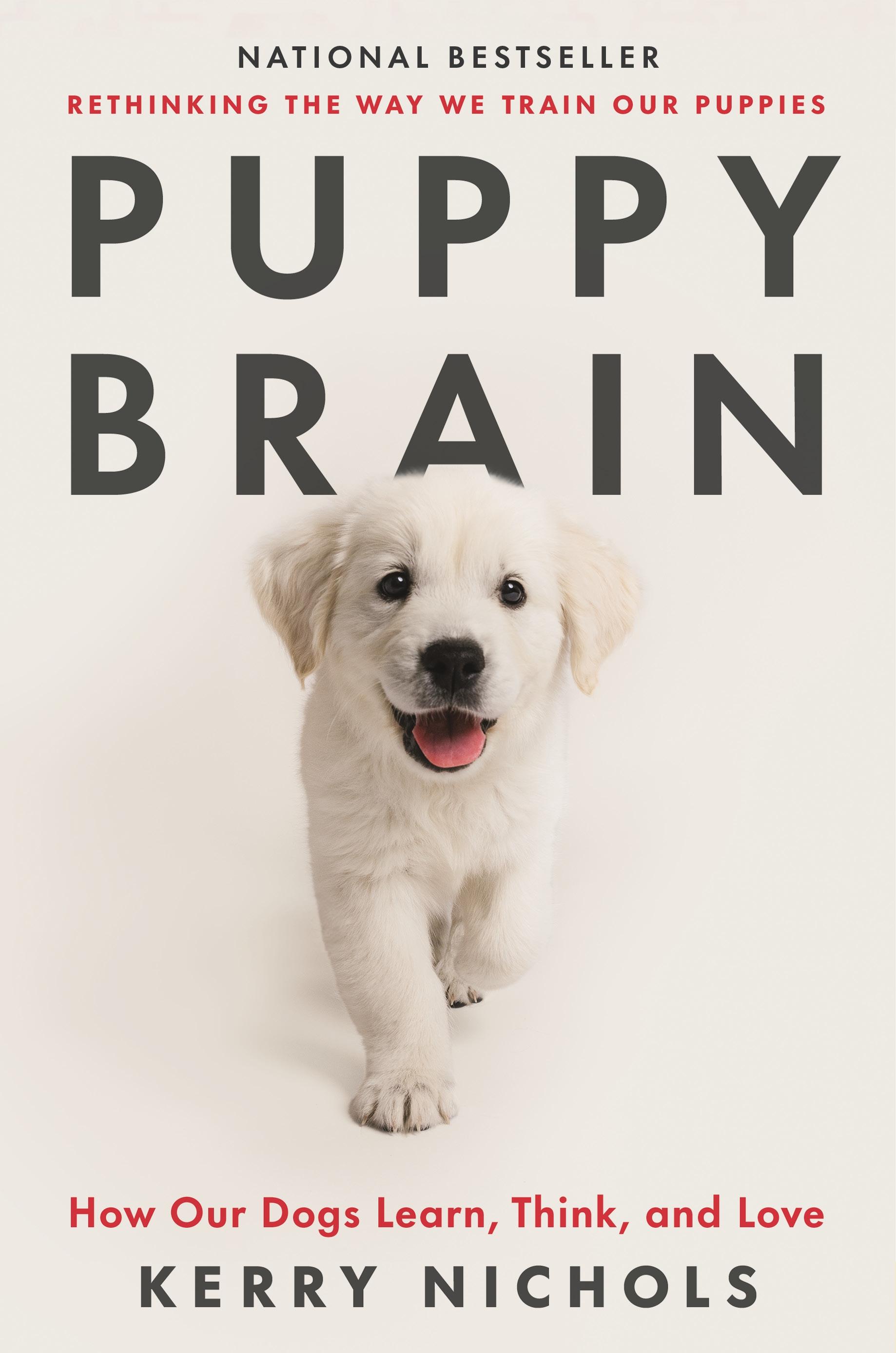 Puppy Brain