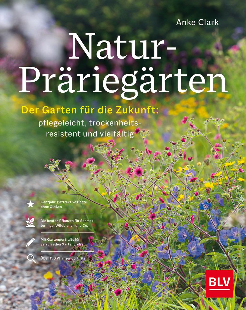 Natur-Präriegärten