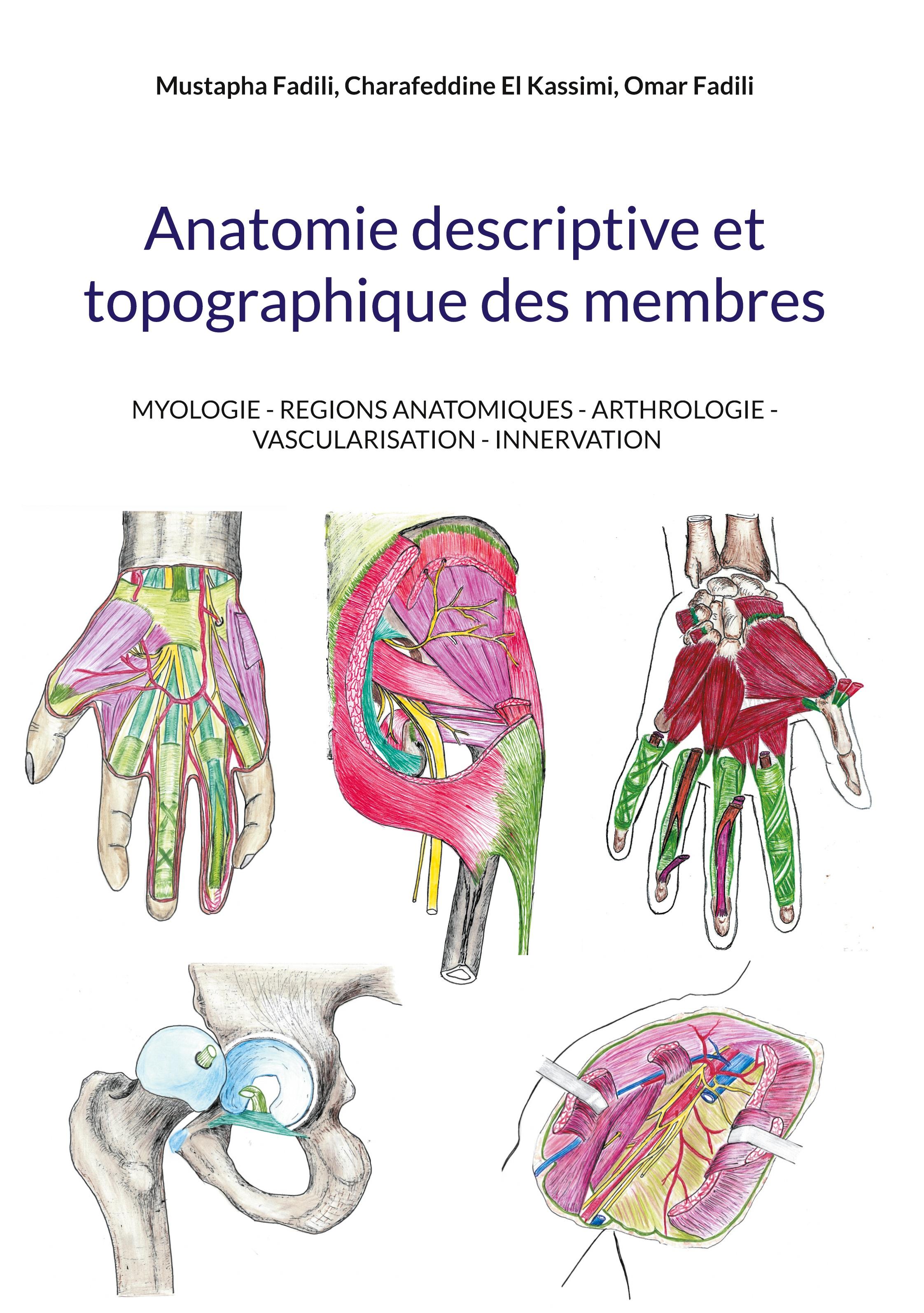 Anatomie descriptive et topographique des membres