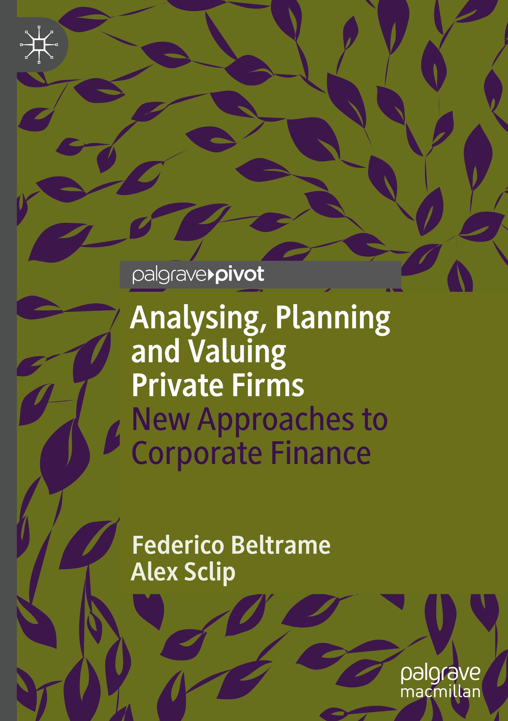 Analysing, Planning and Valuing Private Firms