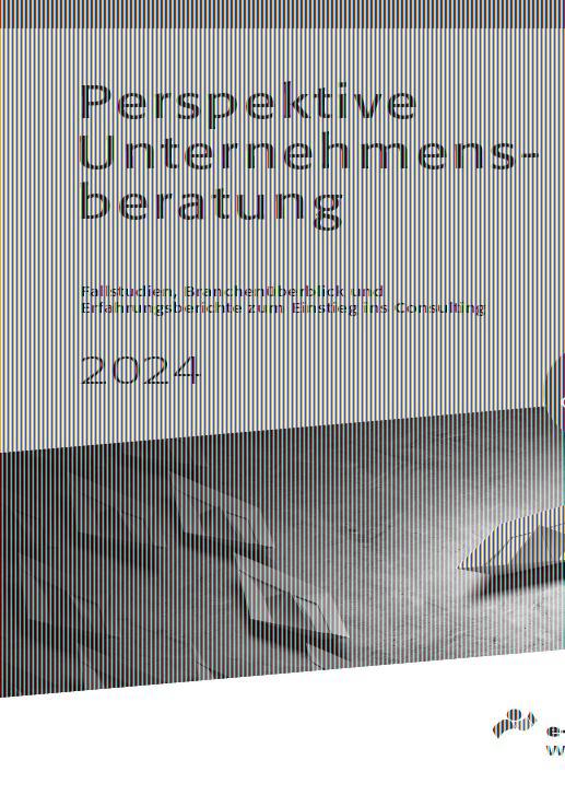 Perspektive Unternehmensberatung 2024