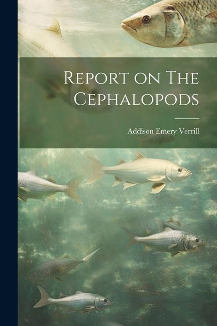 Report on The Cephalopods