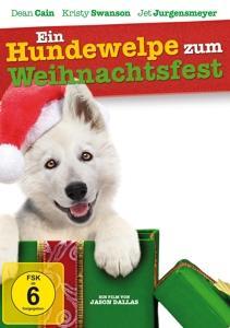 Ein Hundewelpe zum Weihnachtsfest