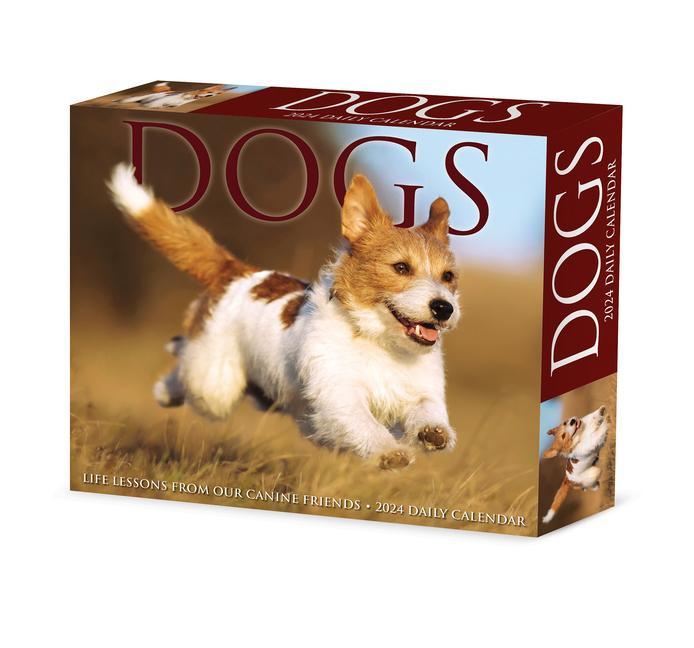 Dogs 2024 6.2 X 5.4 Box Calendar