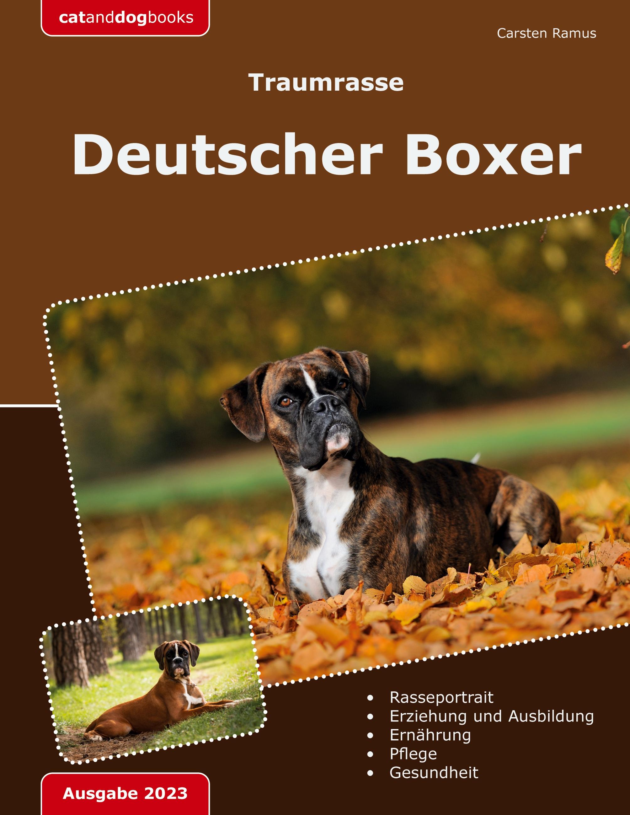 Traumrasse: Deutscher Boxer