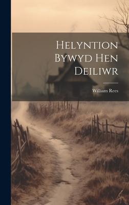 Helyntion Bywyd Hen Deiliwr