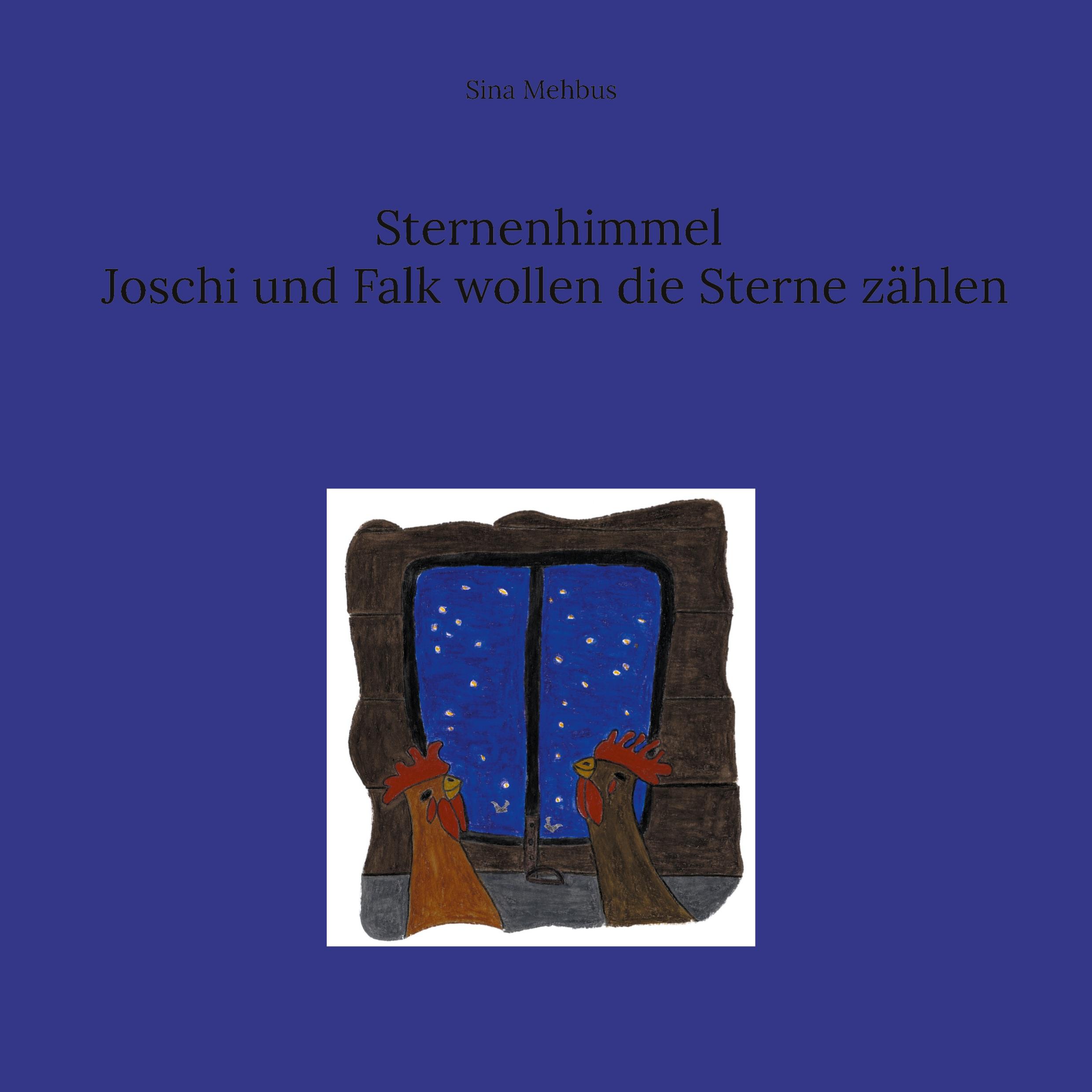 Sternenhimmel Joschi und Falk wollen die Sterne zählen