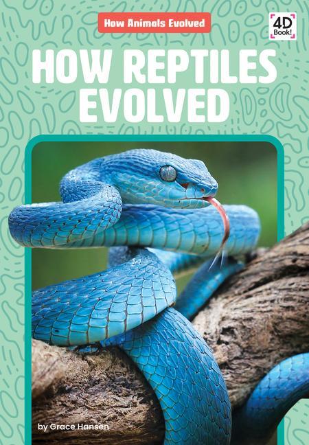 How Reptiles Evolved