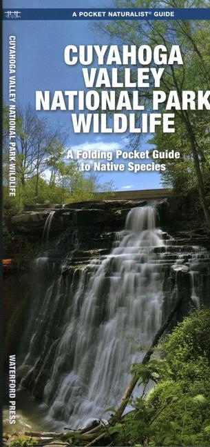 Cuyahoga Valley National Park Wildlife