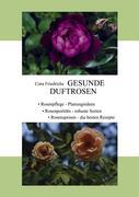 Gesunde Duftrosen