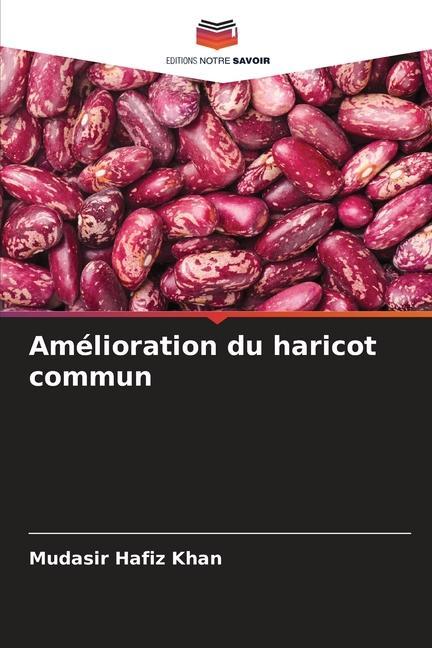 Amélioration du haricot commun