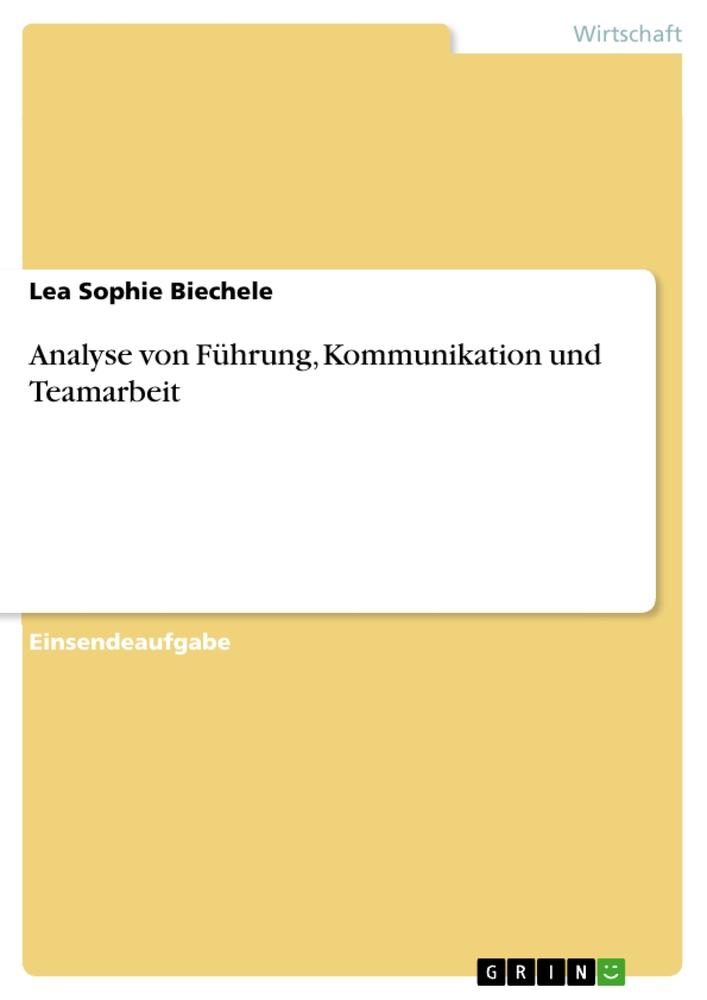 Analyse von Führung, Kommunikation und Teamarbeit